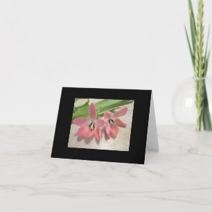 Tarjeta Festiva Tulipanes rosados