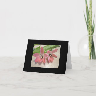 Tarjeta Festiva Tulipanes rosados