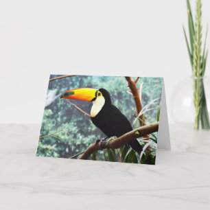 Tarjeta Festiva Turco