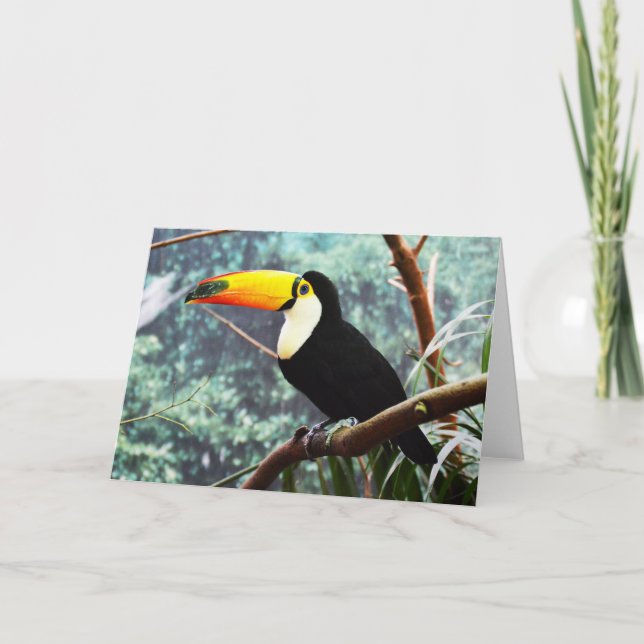 Tarjeta Festiva Turco (Anverso)