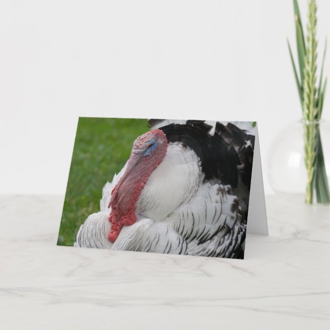 Tarjeta Festiva Turquía dominada (Anverso)