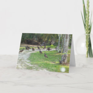 Tarjeta Festiva Turquía salvaje