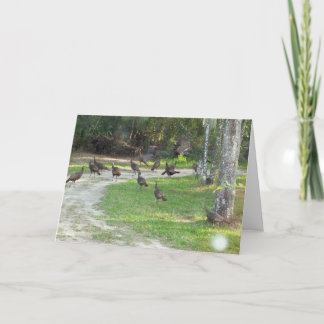 Tarjeta Festiva Turquía salvaje