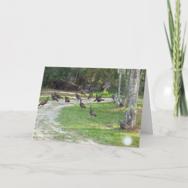 Tarjeta Festiva Turquía salvaje (Anverso)