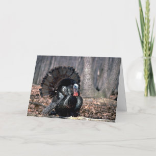 Tarjeta Festiva Turquía silvestre oriental en bosque