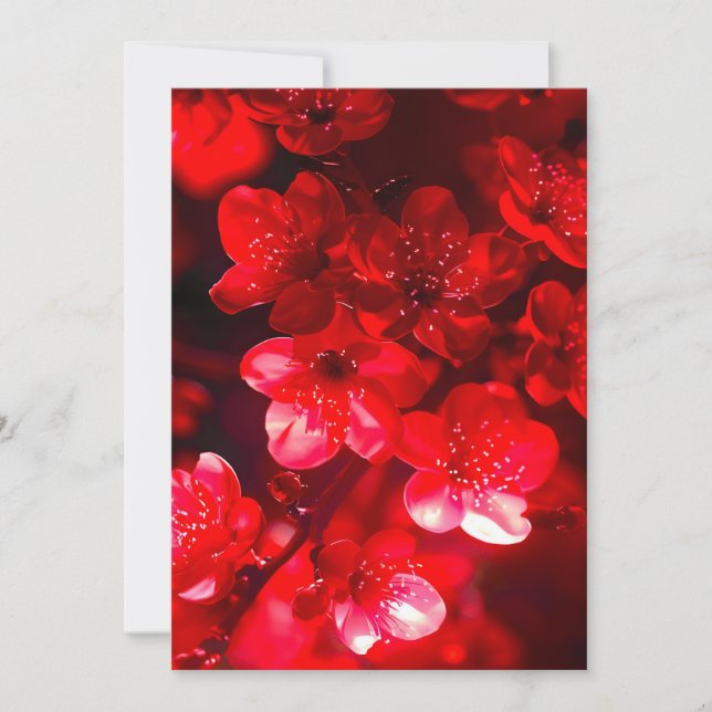 Tarjeta Festiva Twilight Cherry Blossom Glow (Anverso)