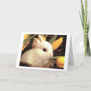 TARJETA FESTIVA TWIN-ESTE BUNNY DICE FELIZ MÁS FÁCIL