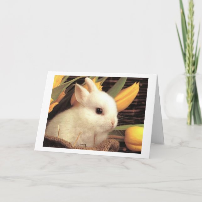 TARJETA FESTIVA TWIN-ESTE BUNNY DICE FELIZ MÁS FÁCIL (Anverso)