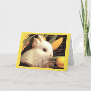 TARJETA FESTIVA ***TWIN*** FELIZ **EASTER** Y FELIZ PRIMAVERA