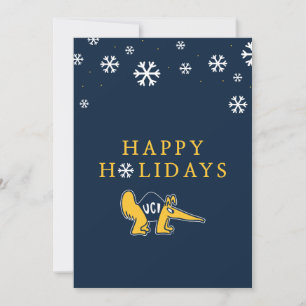 Tarjeta Festiva UC Irvine   UCI Anteaters