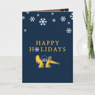 Tarjeta Festiva UC Irvine   UCI Anteaters