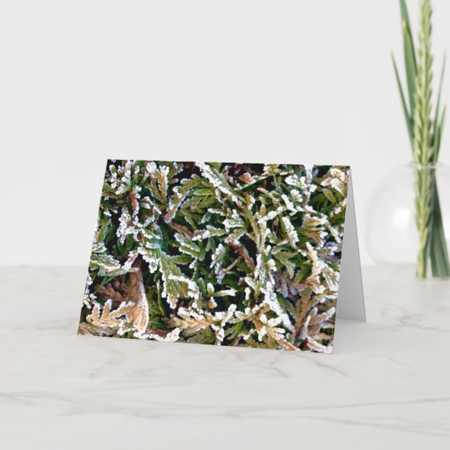 Tarjeta Festiva Un Año Nuevo una nueva ocasión. ¡Haga que cuenta! (Anverso)