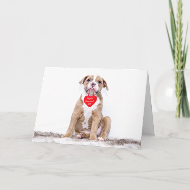 Tarjeta Festiva Un Bulldog lindo y feliz día de San Valentín (Anverso)