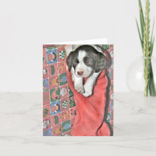 Tarjeta Festiva Un Cachorro Para Navidades