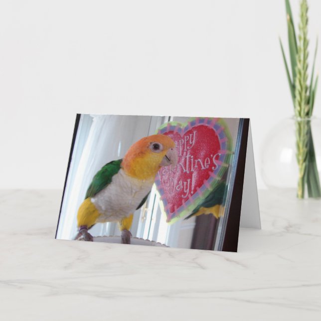 Tarjeta Festiva Un Caique Valentine (Anverso)