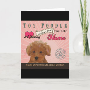 Tarjeta Festiva Un caniche de juguete cariñoso hace nuestro hogar