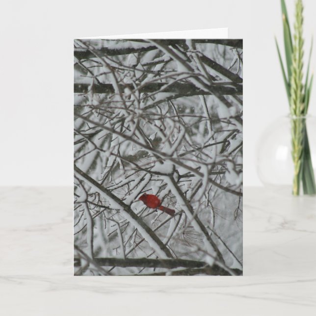 Tarjeta Festiva Un cardenal en los árboles nevados (Anverso)