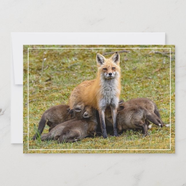 Tarjeta Festiva Un día de mamá (Anverso)