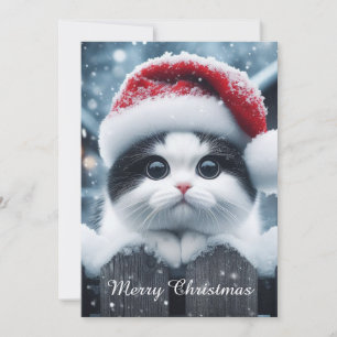 Tarjeta Festiva Un gato blanco con sombrero de Santa