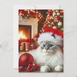 Tarjeta Festiva Un gato blanco con sombrero de Santa