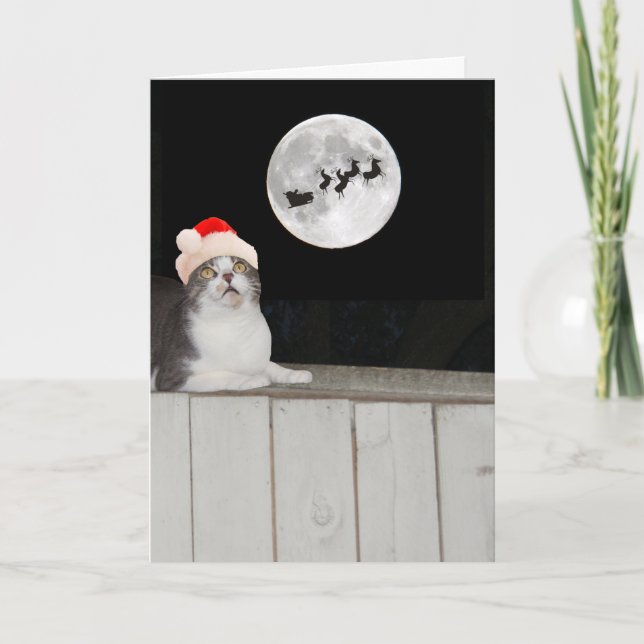 Tarjeta Festiva Un gato gracioso ve a Santa (Anverso)