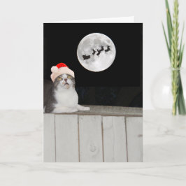 Tarjeta Festiva Un gato gracioso ve a Santa