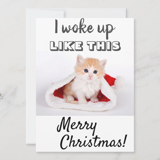 Tarjeta Festiva Un gato lindo que desperté... Foto roja (Anverso)