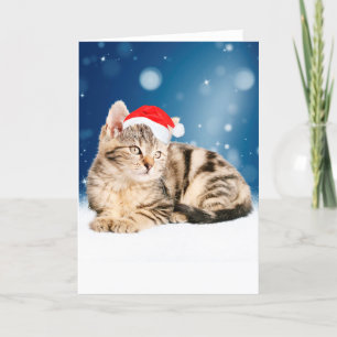 Tarjeta Festiva Un gato lindo vestido con Navidades de sombrero ro