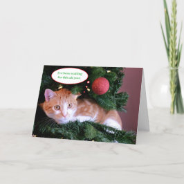 Tarjeta Festiva Un gato Naranja gracioso y verde en un árbol de Na