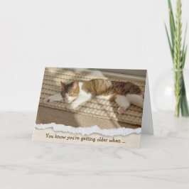 Tarjeta Festiva Un gato por cumpleaños raptado en la luz del sol