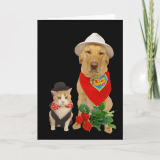 Tarjeta Festiva Un gato y un perro/laboratorio divertidos y gracio