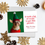 Tarjeta Festiva Un montón de tratamientos Feliz Mascota Funny Howl<br><div class="desc">Envíe esta graciosa tarjeta de vacaciones mascota a amigos y familia esta temporada y muestre la adorable foto de orientación de retrato que tomó de su bebé de piel en sudaderas festivas, cánticos, pañuelos y más. El texto fácil de editar hace que esta tarjeta sea fácil de personalizar y una...</div>