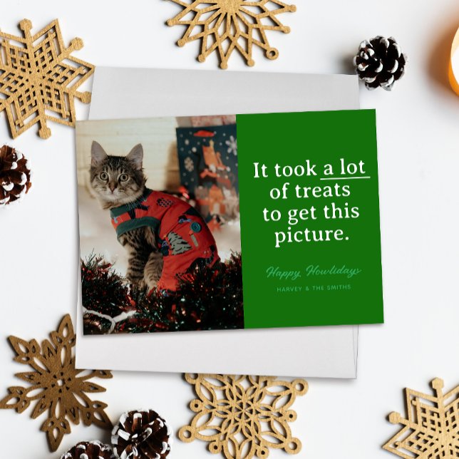 Tarjeta Festiva Un montón de tratamientos verdes Feliz Mascota Fun ("It took a lot of treats to get this picture" funny holiday pet photo card, white text on green)
