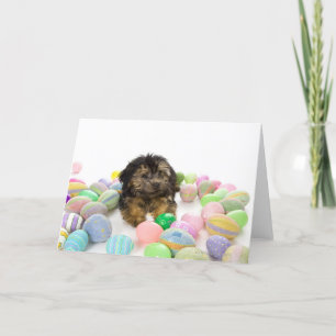 Tarjeta Festiva Un perrito de Yorkie-poo y huevos de Pascua