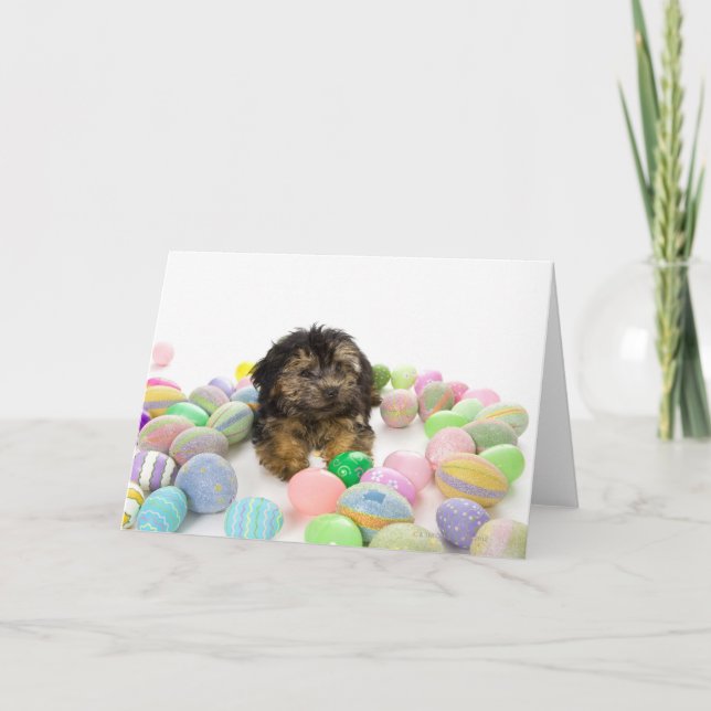 Tarjeta Festiva Un perrito de Yorkie-poo y huevos de Pascua (Anverso)