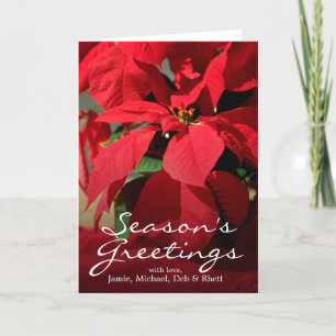 Tarjeta Festiva Un primer de un poinsettia