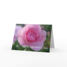 Un rosa para un rosa feliz Día de San Valentín