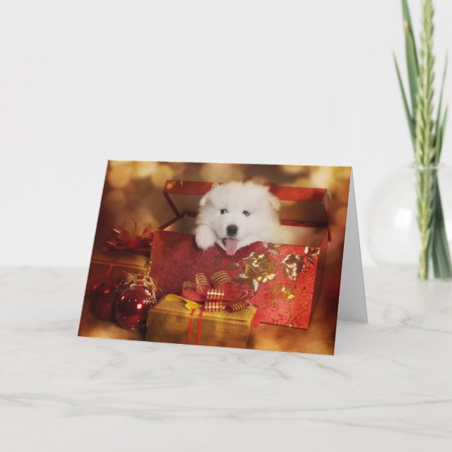 Tarjeta Festiva Una Cachorra Samoyada En Una Caja De Navidades (Anverso)