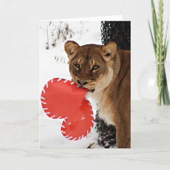 Tarjeta Festiva Una cuota de amor para leones (Anverso)