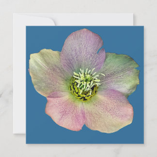 Tarjeta Festiva Una flor