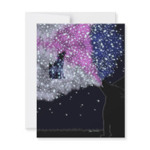 Una noche de verano con Sirius