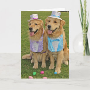 Tarjeta Festiva Una Pascua Dorada Mirando Huevos