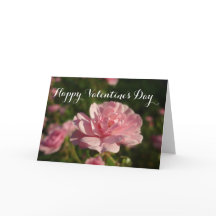 Una rosa para una rosa feliz día de San Valentín