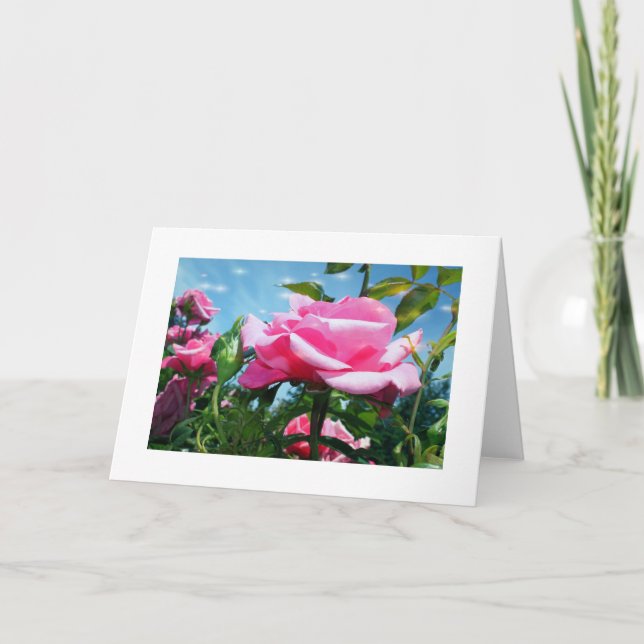 Tarjeta Festiva Una rosa rosa grandiosa en el cielo azul. Fotograf (Anverso)