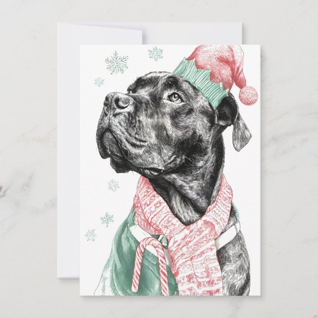 Tarjeta Festiva Unique Dog Christmas Cards (Anverso)