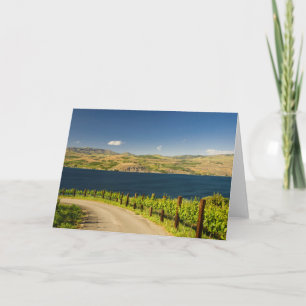 Tarjeta Festiva USA, Washington, Lake Chelan. Vineyard