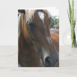 Tarjeta Festiva Usted coge siempre mi ojo