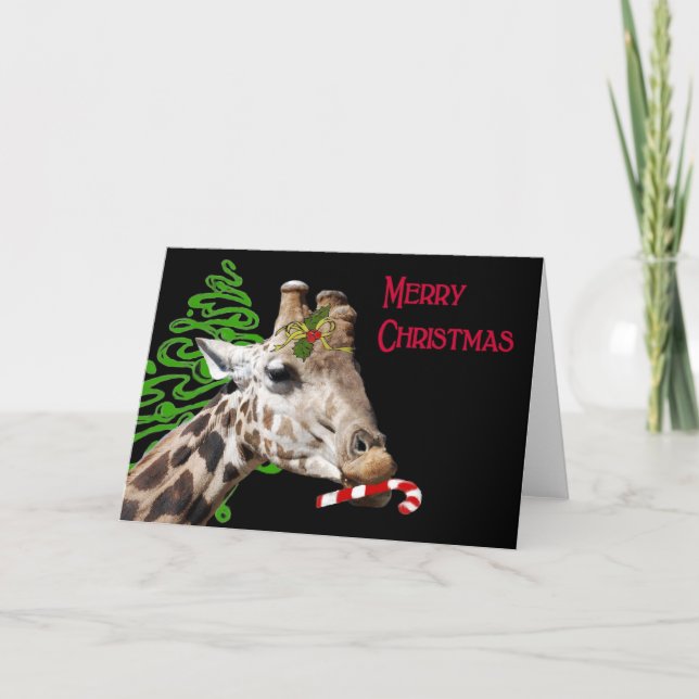 Tarjeta Festiva ¿Usted tienen gusto de un bastón de caramelo? (Anverso)