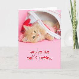 Tarjeta Festiva Ustedes son gatos miau kitten valentine