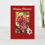 Tarjeta Festiva Uvas Shavuot-Rojas felices/estrella de David<br><div class="desc">¡Esta tarjeta roja bonita ofrece uvas rojas hermosas,  y una estrella de David que celebra el día de fiesta judío de Shavuot!  Dentro de puede ser personalizado para decir lo que usted desea. La imagen es public domain con permiso de http://www.public-domain-image.com/</div>